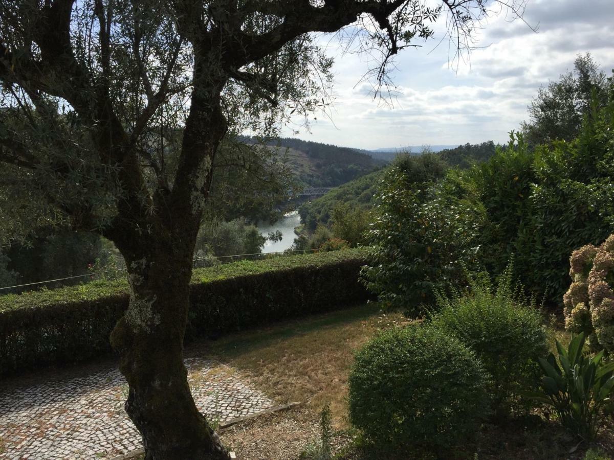 Quinta De Santa Maria Do Dao Villa Santa Comba Dao Bagian luar foto